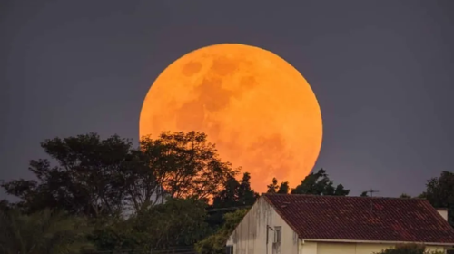 Lua Cheia Rosa será visível em todo o país nesta terça-feira (23/4)