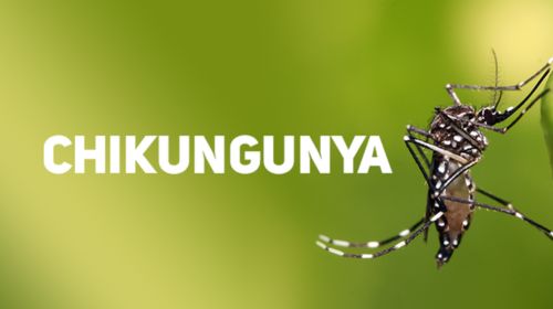 Tupã confirma 1º caso de chikungunya