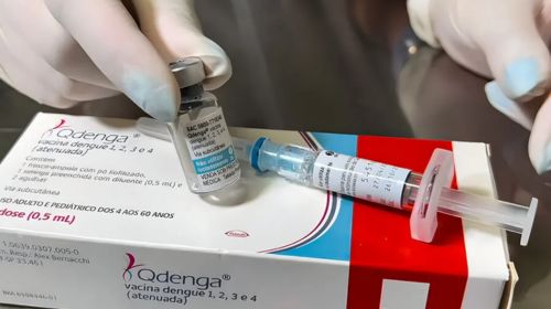 Tupã incluída na nova remessa de vacinas contra dengue, segundo Ministério da Saúde