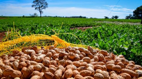 Tupã terá Dia de Campo para produtores rurais no Recinto da Exapit