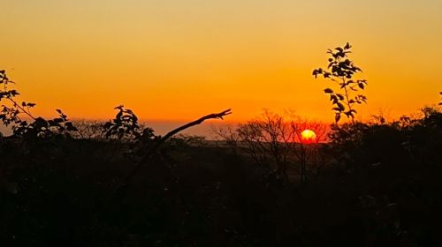 Com calor de 40ºC, Tupã tem umidade do ar comparável a de desertos