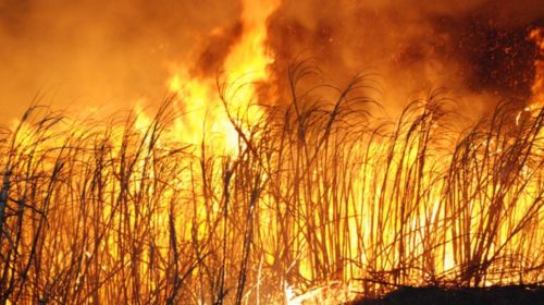 Trabalhador rural morre queimado após incêndio atingir canavial em Avanhandava