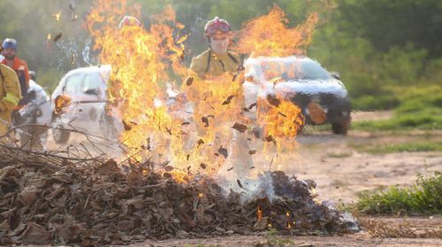 Governo de SP inicia testes com produto que apaga fogo 5 vezes mais rápido que uso de água