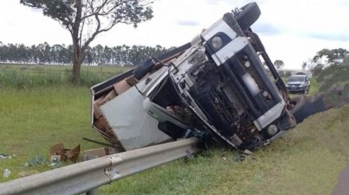 Região Caminhão de Iacri com carga de ovos tomba na SP-294 em Quintana (SP); motorista sofreu ferimentos leves