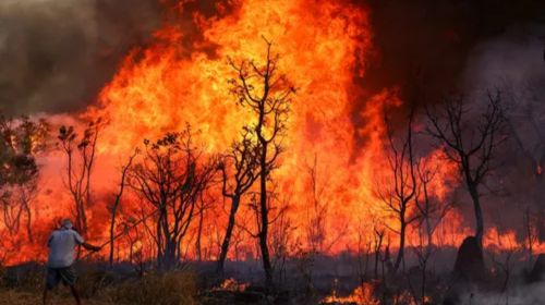 Incêndios no Brasil devastam área maior que a Itália em 2024