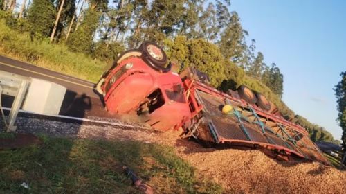 Caminhão carregado com toneladas de amendoim tomba e interdita rodovia em Iacri