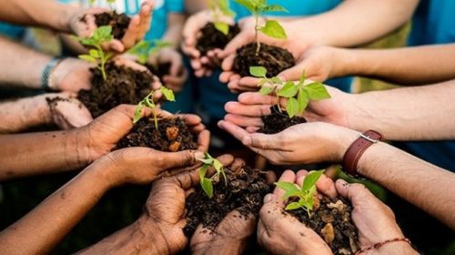 Semana do Meio Ambiente vai ser marcada por várias atividades