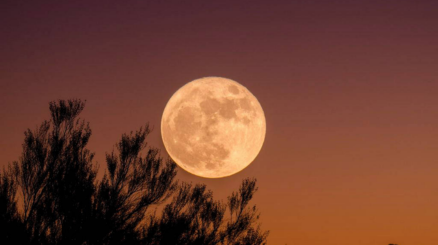 Lua cheia do veado   aparece no céu nesta quinta-feira; veja de onde ver