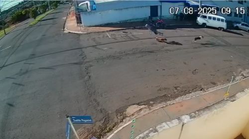 Idoso sofre traumatismo craniano após ser “atropelado” por cachorro na região