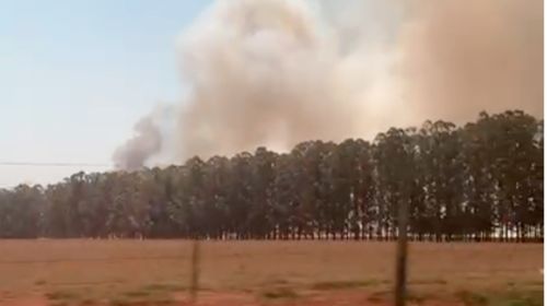 Incêndio em Bastos: fumaça densa toma conta da cidade e complica tráfego na vicinal