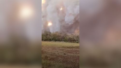 Incêndio de grandes proporções atinge área rural e interdita SP-333 em Tarumã