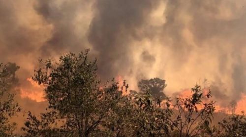 Queiroz institui Brigada de Incêndio para reforçar segurança da população