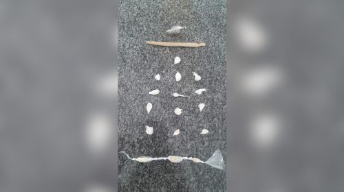 Suspeito tenta fugir ao ver viatura e é preso por tráfico de drogas em Herculândia