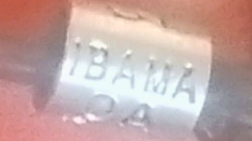 Multa de R$ 10 mil em Tupã por uso de informações falsas em sistema de controle de aves silvestres