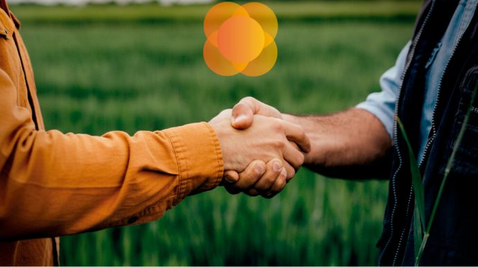 Cresol inicia pagamento de juros sobre o capital social aos cooperados