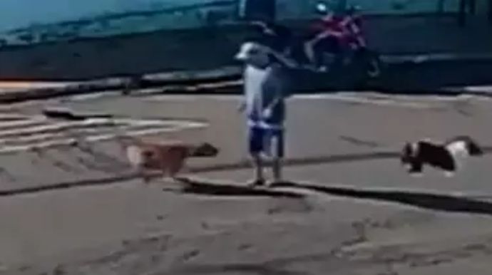 Idoso ‘atropelado’ por cachorro morre quatro meses após acidente em Piacatu (SP)