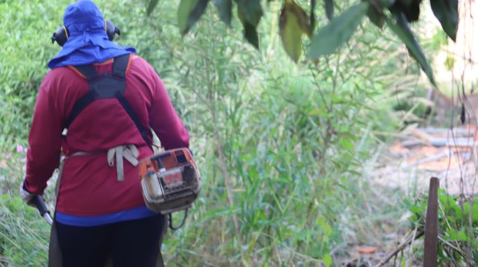 Mato alto: Prefeitura assume roçada e manda a conta para o proprietário