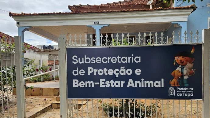 Proteção animal avança no município e quase mil animais recebem atendimento em 2025