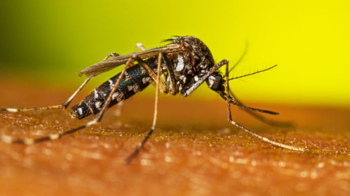 Endemias faz mais de 68 mil visitas no primeiro semestre em ações contra dengue e chikungunya em Tupã