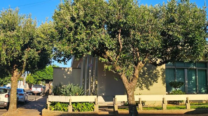 Lei municipal prevê ao menos uma árvore por imóvel urbano em Tupã