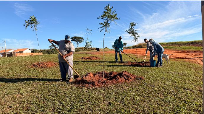 Praça do Monte Líbano recebe plantio de 30 mudas durante obras de revitalização