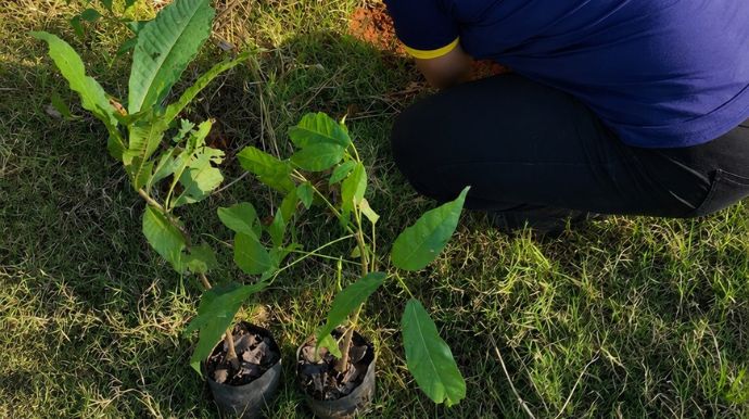Campanha mobiliza produtores para proteção de nascentes na zona rural de Tupã