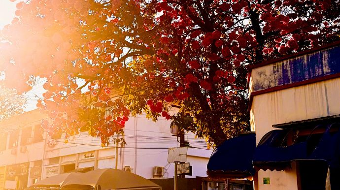 Tupã terá calor crescente durante a semana e máxima pode chegar a 37°C