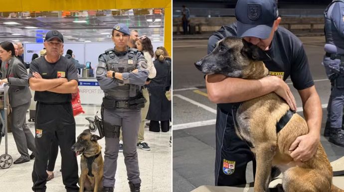 K9 Kira e policial do Baep de Presidente Prudente representam o Brasil em ‘Olimpíada Canina’ nos EUA