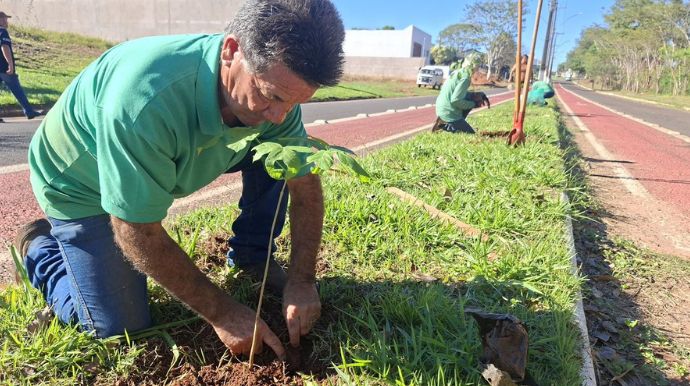 Tupã recebe plantio de 200 mudas de ipê-branco no bairro Reserva Tupã