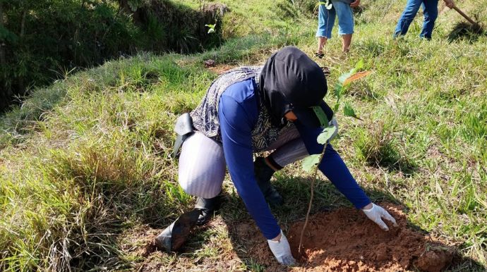 Meio Ambiente planta 200 árvores em nascente e amplia ações de recuperação ambiental em Tupã