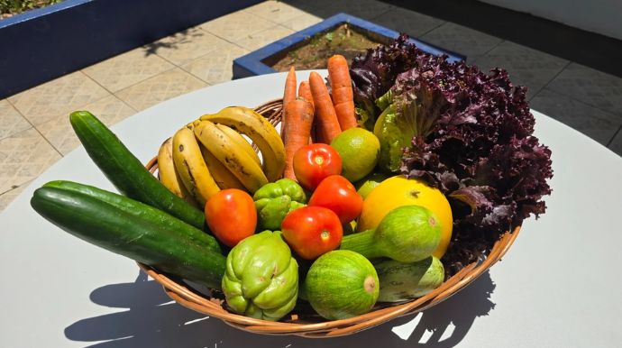 Pacientes oncológicos de Queiroz recebem Cesta Verde com alimentos frescos