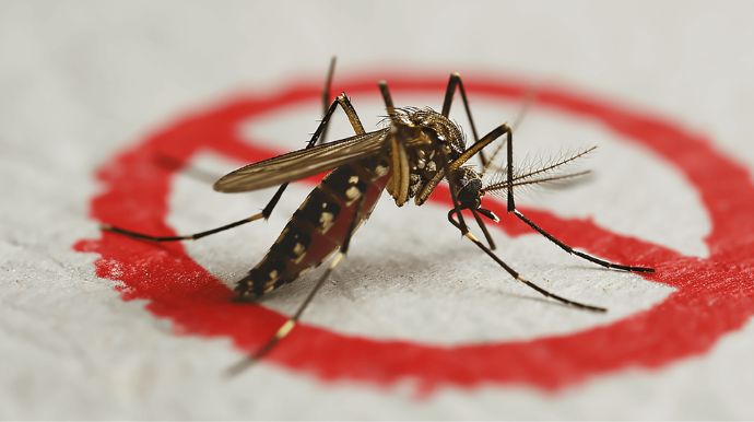Queiroz inicia mutirão de limpeza contra a dengue no dia 13 de outubro pela Vila Nova